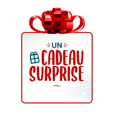 cadeau-noel-surprise